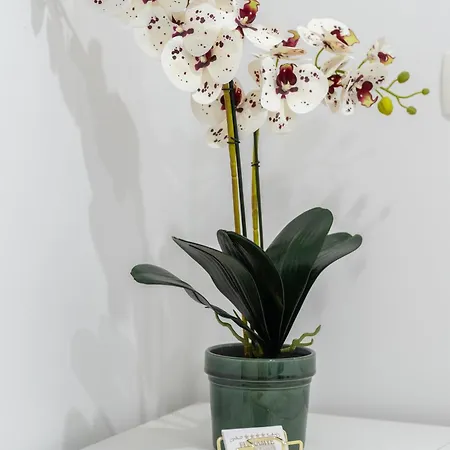 Luxury Floramye (adults Only)